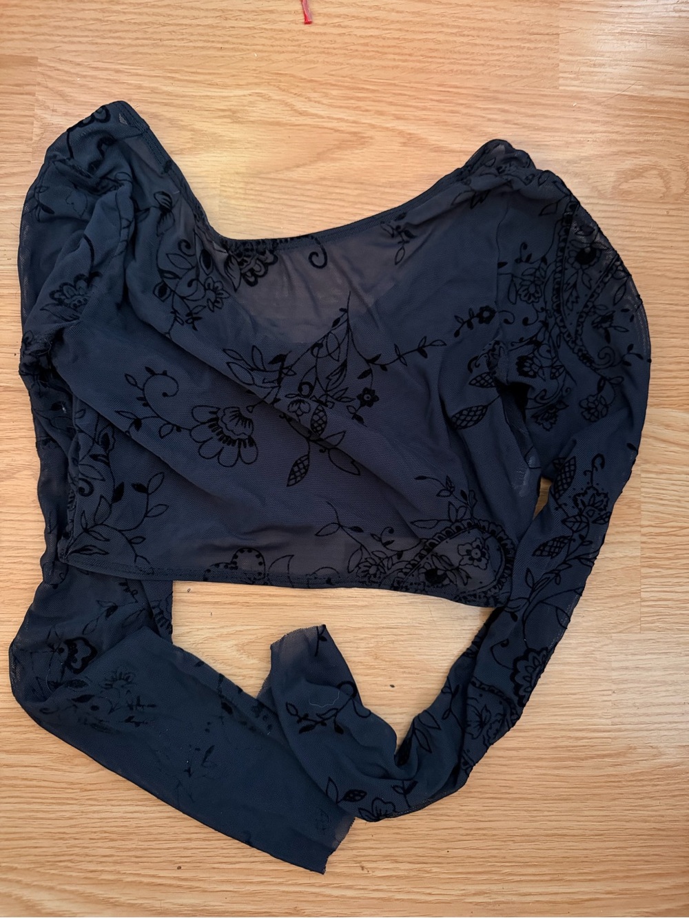 Sheer Black Floral Velvet Burnout Long Sleeve Crop Top
